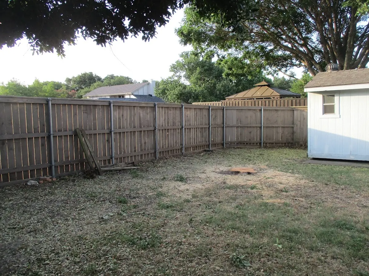 Cleared yard after professional tree removal in North Haverhill
